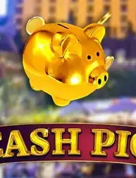 Cash Pig