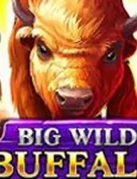 Big Wild Buffalo