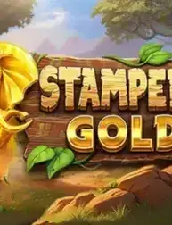 Stampede Gold